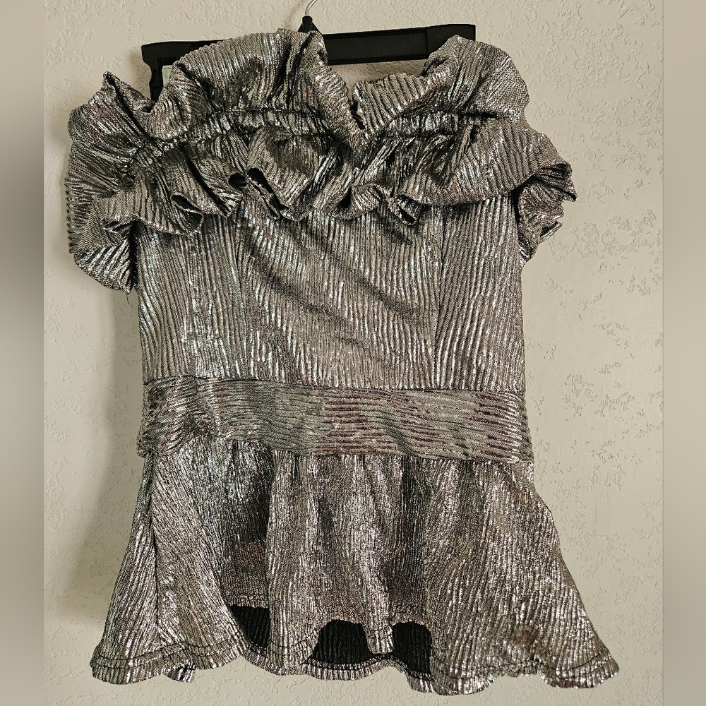 NWT Silver Strapless Top